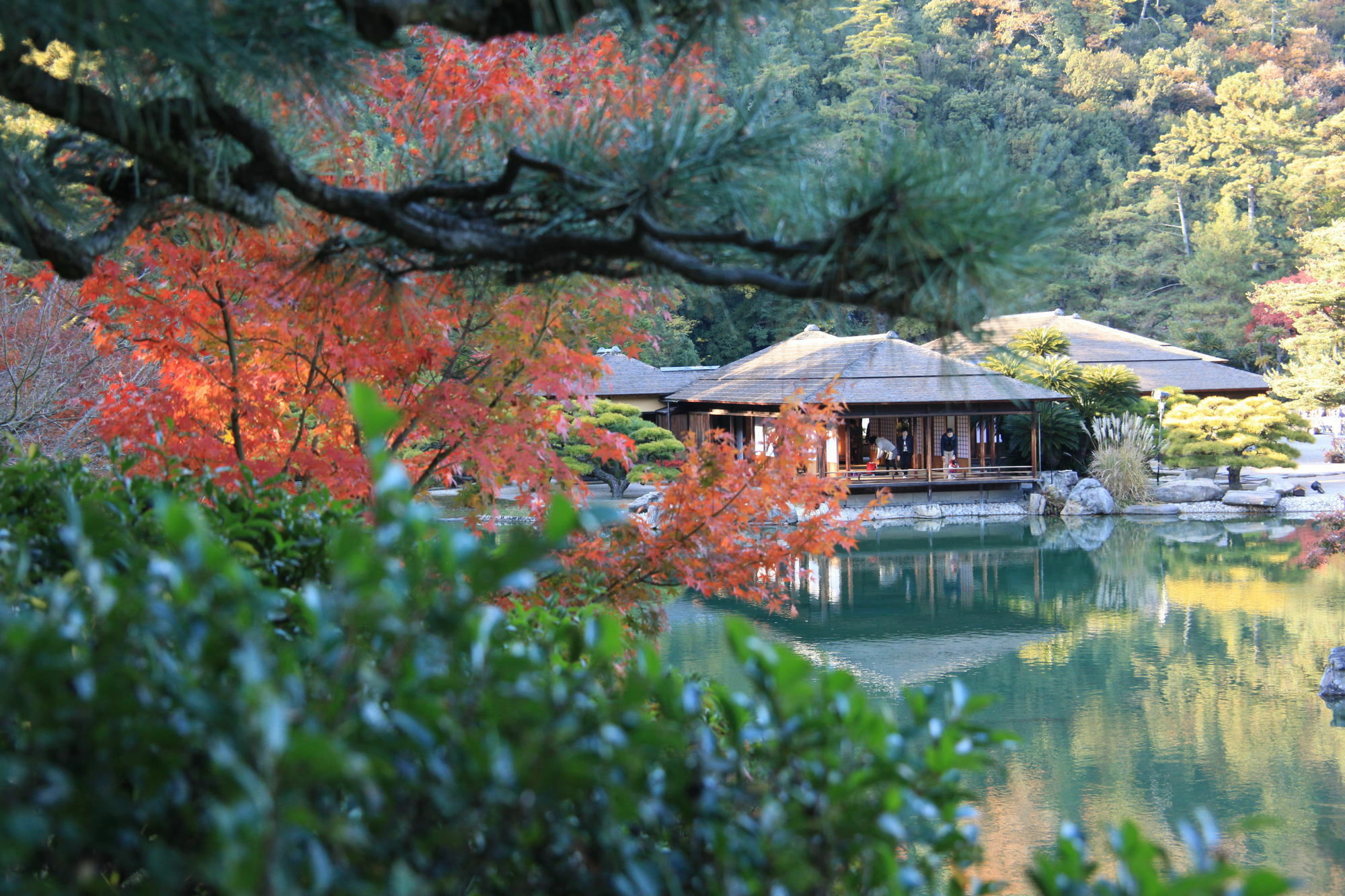 Daiwa Roynet Hotel Takamatsu Eksteriør billede